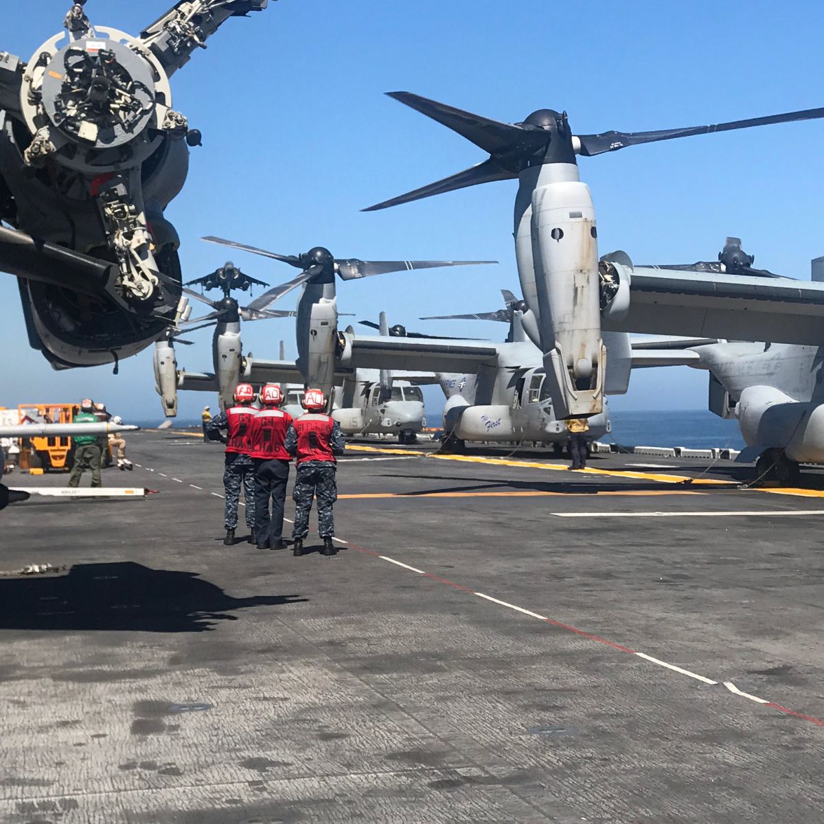 aviation cruise